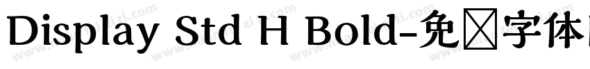 Display Std H Bold字体转换